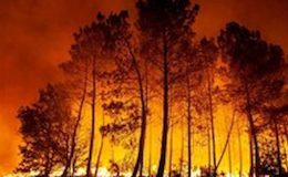 İklim değişikliği orman yangınlarına davetiye çıkarıyor