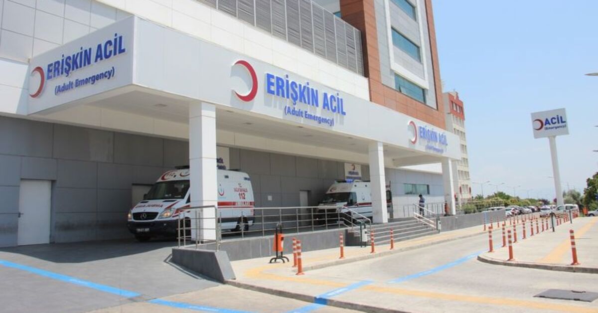 Feci ölüm! Yola çıkan ata çarptı