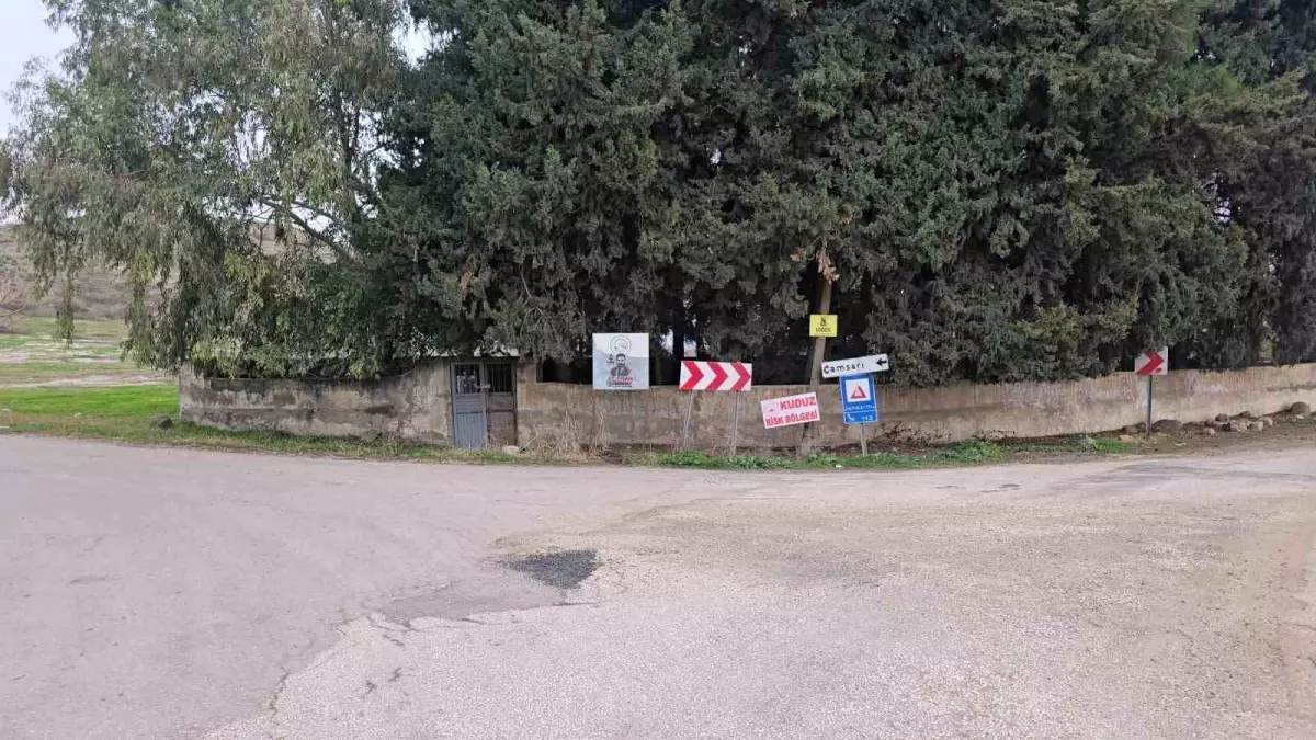 Hatay’da Kuduz Köpek Krizi