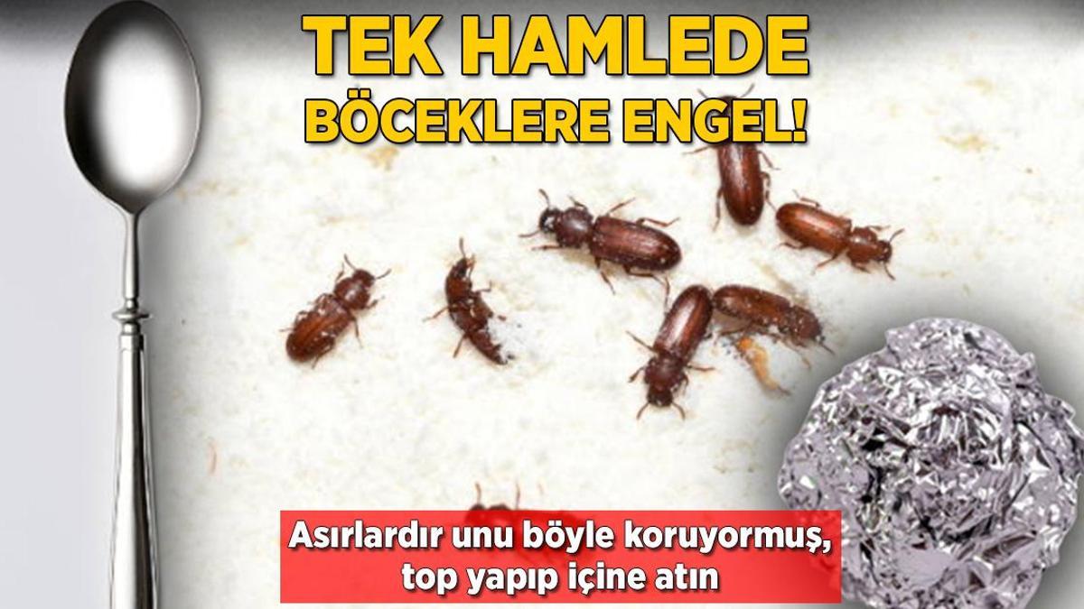 Unu böcekten korumak çok kolay! Yuvarlayıp içine atın, asırlık yöntemmiş