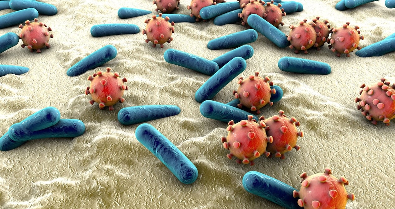 Tehlikeli şekilde yayılan, antibiyotiklere dirençli bakteri keşfedildi